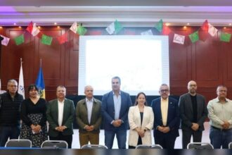 puntoielector com cicej propone comite permanente la clave para la gobernanza
