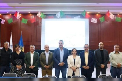 puntoielector com cicej propone comite permanente la clave para la gobernanza