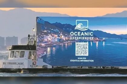 puntoielector com el desafio de la regulacion en puerto vallarta lecciones del