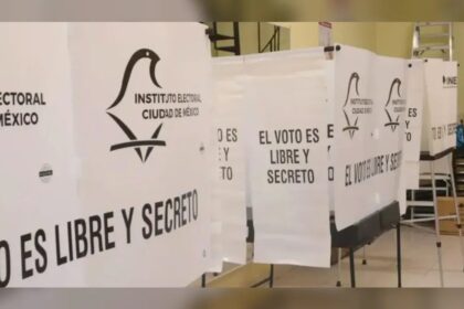 puntoielector com el tribunal electoral anula filtro del ine para observadores