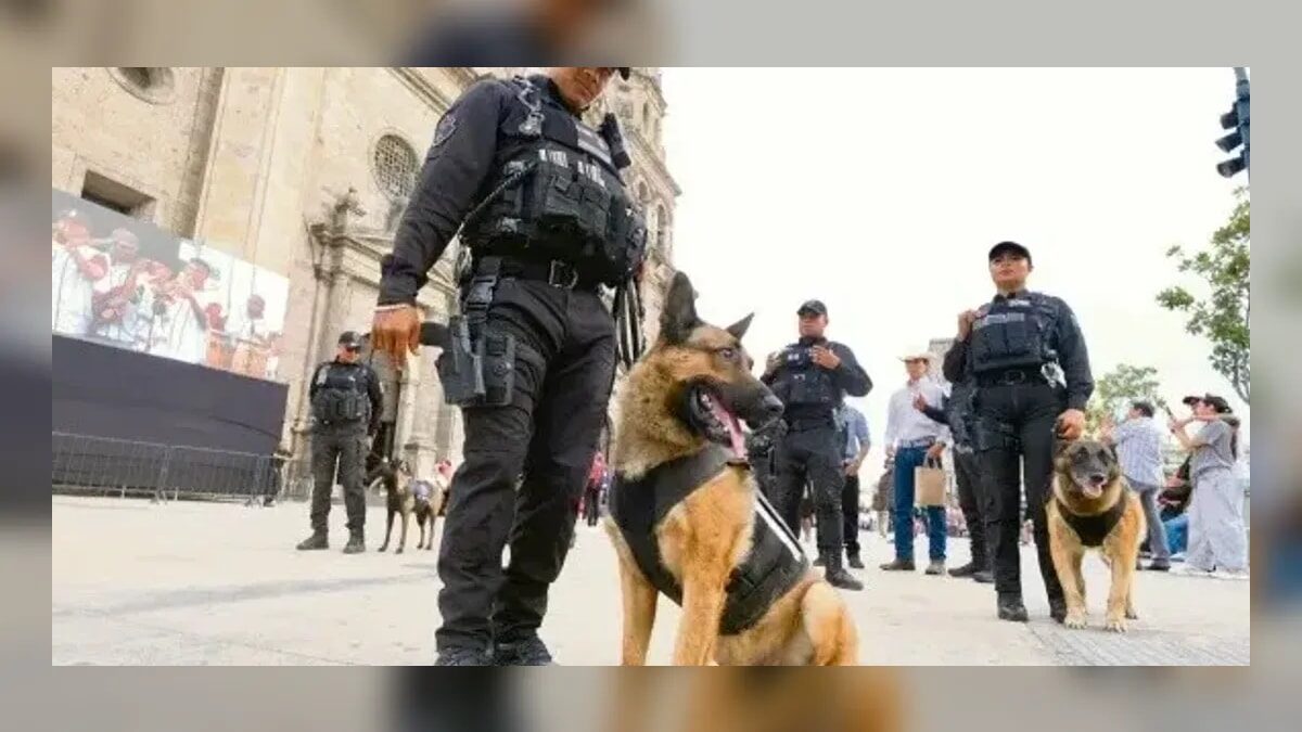 puntoielector com festividades patrias en la zmg prueba de fuego para la coord