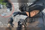 puntoielector com hallazgo de campamento con explosivos en zapopan la amenaza