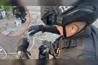 puntoielector com hallazgo de campamento con explosivos en zapopan la amenaza