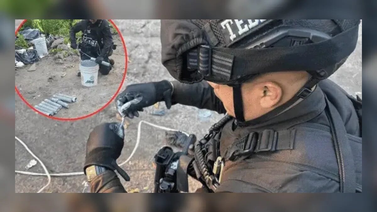 puntoielector com hallazgo de campamento con explosivos en zapopan la amenaza