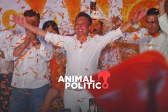puntoielector com movimiento ciudadano jalisco la reconfiguracion politica en