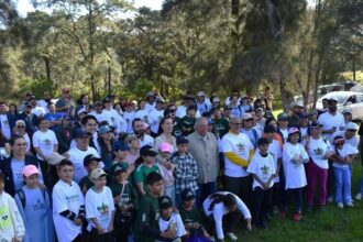 puntoielector com reforestacion en el bosque la primavera compromiso ambiental