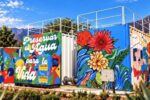 puntoielector com alianza hidrica en jalisco la federacion y el esta