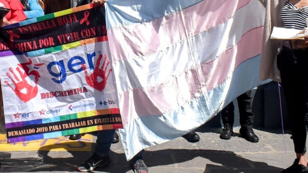 El Congreso bajo escrutinio: cuatro años de omisión en la ley de infancias trans
