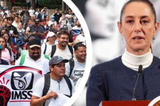 puntoielector com el primer pulso de sheinbaum el plan integral del
