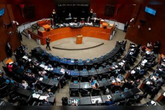 puntoielector com el senado avala la integracion de las fuerzas arma