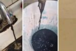 puntoielector com guadalajara enfrenta desafio por agua sucia presa