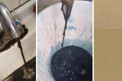 puntoielector com guadalajara enfrenta desafio por agua sucia presa