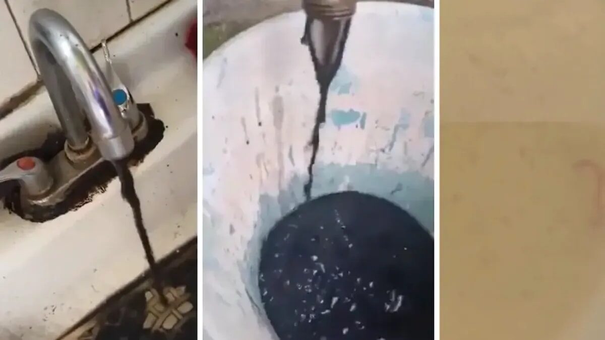 puntoielector com guadalajara enfrenta desafio por agua sucia presa