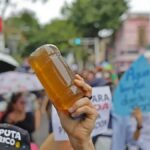 puntoielector com jalisco la ausencia de movimiento ciudadano frena