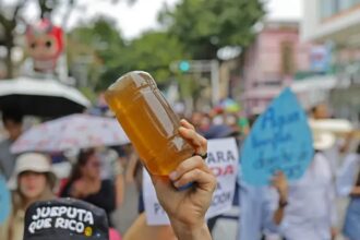 puntoielector com jalisco la ausencia de movimiento ciudadano frena
