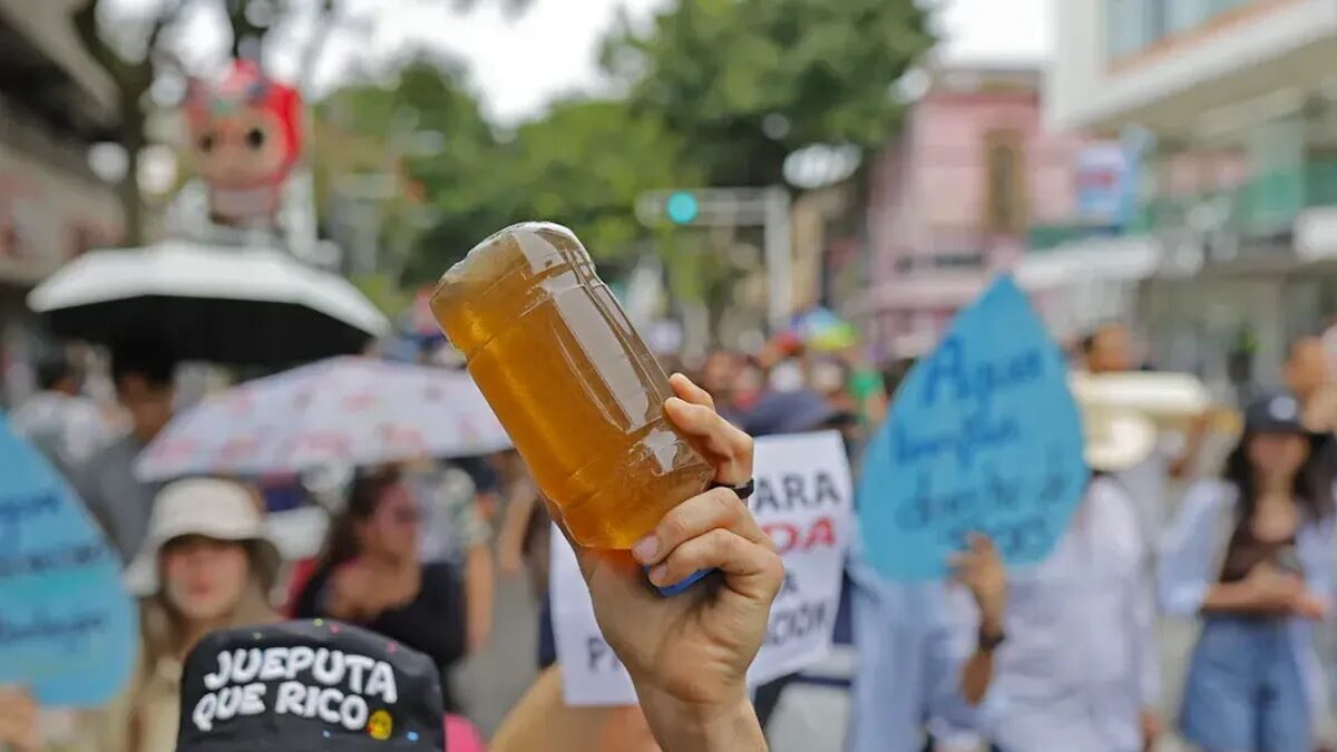 puntoielector com jalisco la ausencia de movimiento ciudadano frena