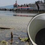 puntoielector com jalisco y federacion unen fuerzas iniciativa para