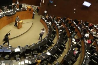 puntoielector com la inimpugnabilidad constitucional un pilar bajo e