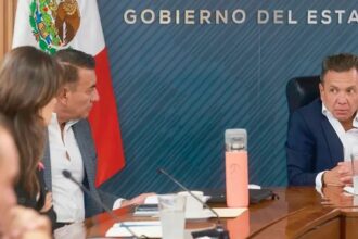 puntoielector com la ruta politica y empresarial para asegurar el ab