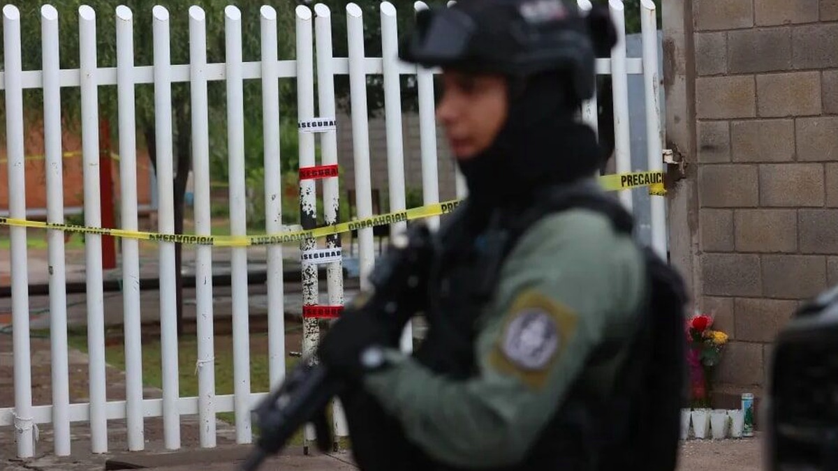 puntoielector com mexico frente al desafio de la violencia digital l